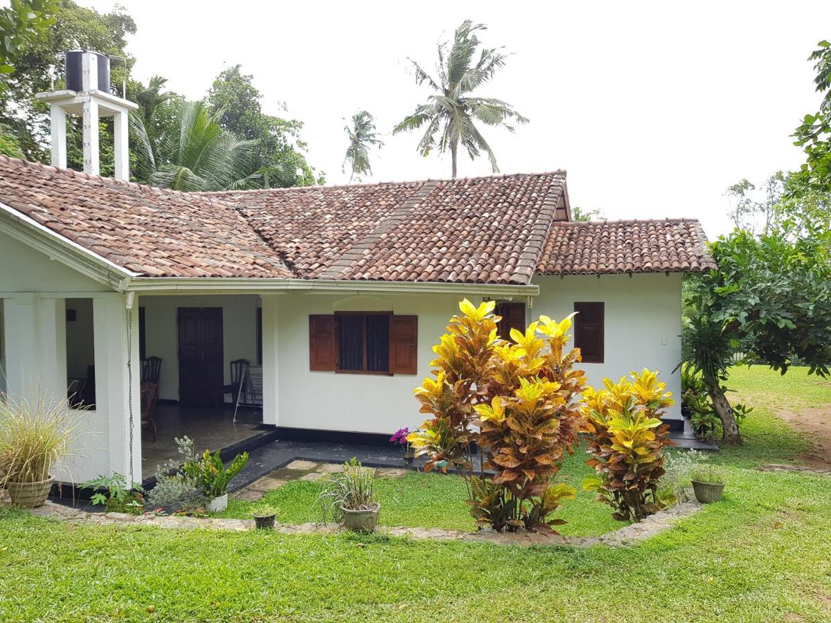 Chitra Ayurveda Hotel Bentota Exterior photo