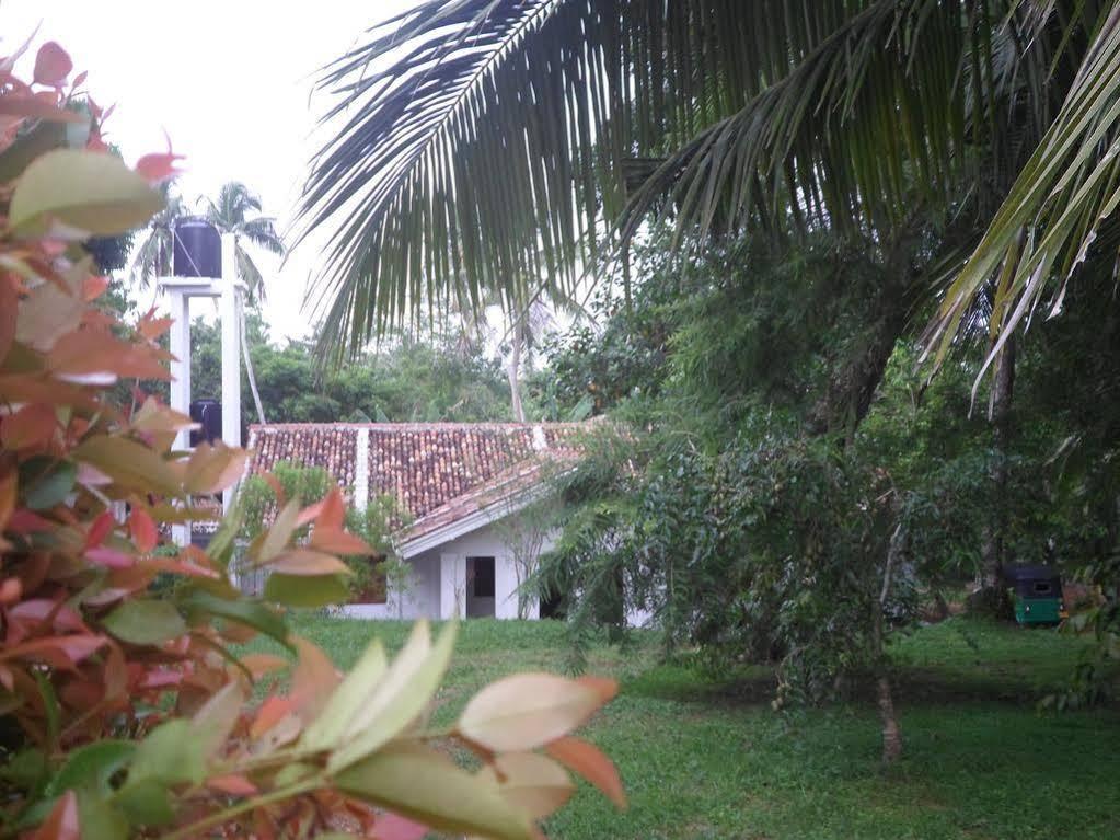 Chitra Ayurveda Hotel Bentota Exterior photo