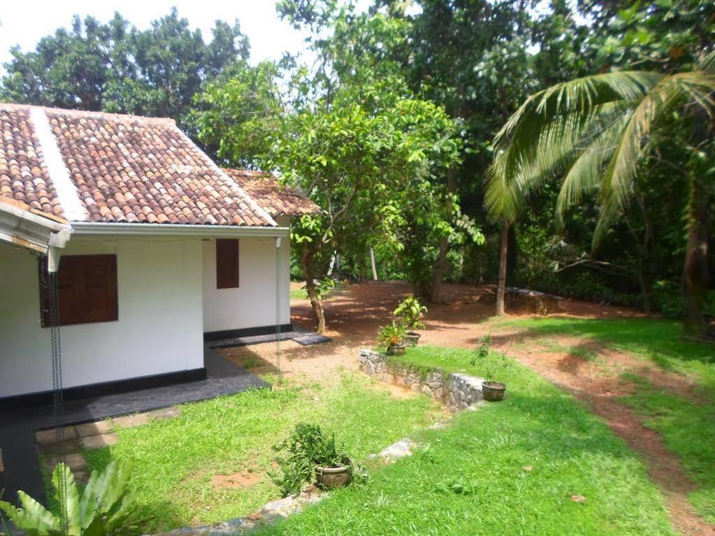 Chitra Ayurveda Hotel Bentota Exterior photo